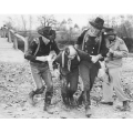 Horse Soldiers John Wayne William Holden Photo